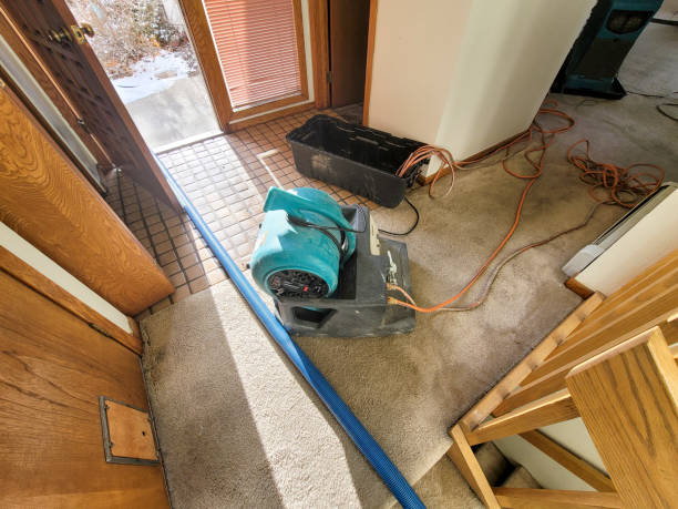 Best Water damage restoration mold remediation  in State Center, IA