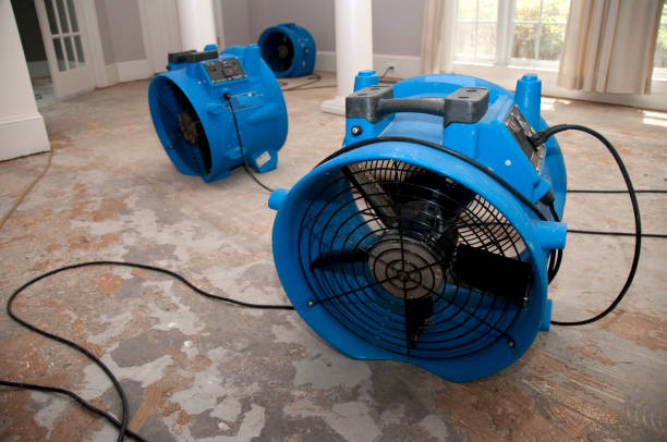 Trusted State Center, IA Water damage restoration Experts